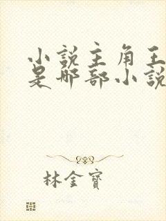 小说主角王斌 是哪部小说