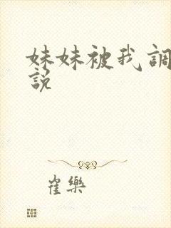 妹妹被我调教小说