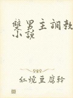 双男主调教高h小说封面