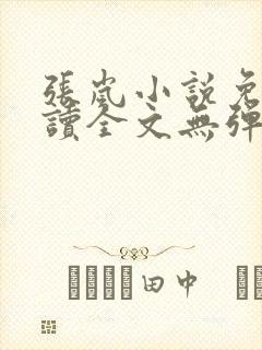 张岚小说免费阅读全文无弹窗