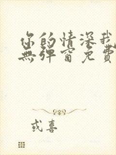 你的情深我不配无弹窗免费阅读