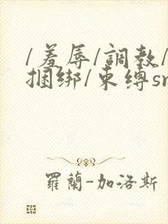 /羞辱/调教/捆绑/束缚sm在线