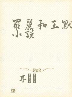 罗丽和王默同人小说