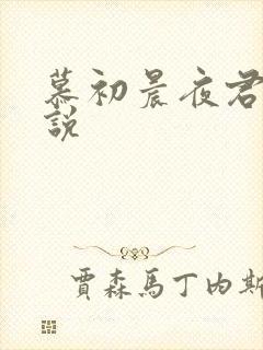 慕初晨夜君昊小说
