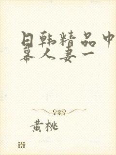 日韩精品中文字幕人妻一