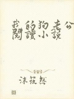我的狗老公在线阅读小说