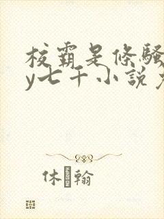 校霸是条骚狗by七千小说免费阅读