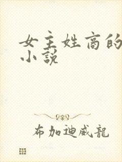 女主姓商的现代小说