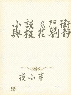 小说《门卫老于与校花刘静》