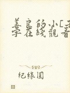 善良的小[子中字在线观看封面