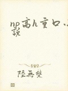 np高h重口小说