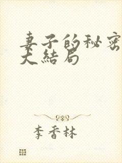 妻子的秘密往事大结局封面