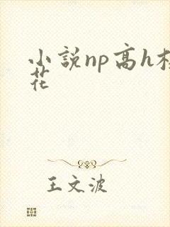 小说np高h校花
