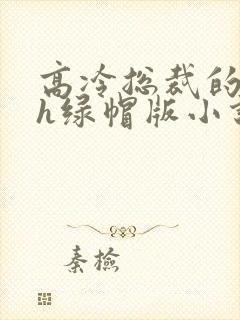 高冷总裁的堕落h绿帽版小说下载封面