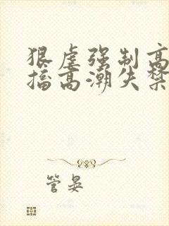 狠虐强制高h抽搐高潮失禁h小说