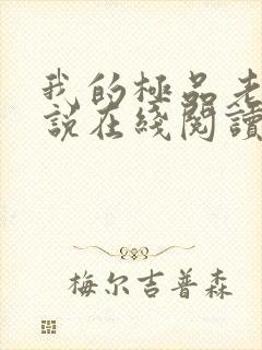 我的极品老婆小说在线阅读