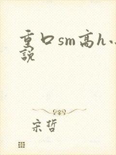 重口sm高h小说封面