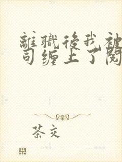 离职后我被前上司缠上了阅读全文全文