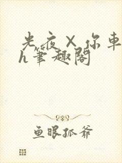 光夜×你车肉高h笔趣阁封面