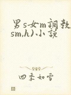 男s女m调教(sm,h)小说封面