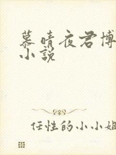 慕晴夜君博最新小说封面