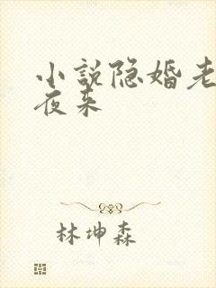 小说隐婚老公深夜来