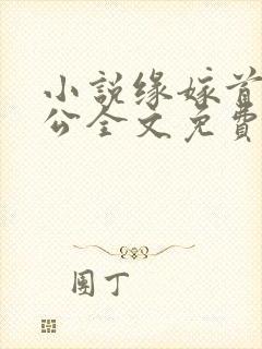 小说缘嫁首长老公全文免费阅读