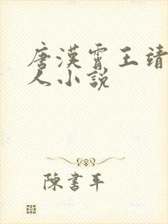 唐汉霄王靖雯同人小说封面