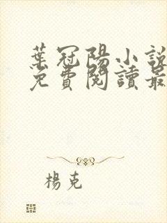 叶冠阳小说全文免费阅读最新章节