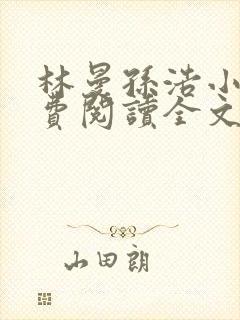 林曼孙浩小说免费阅读全文最新章节