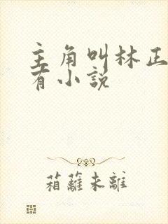 主角叫林正的所有小说