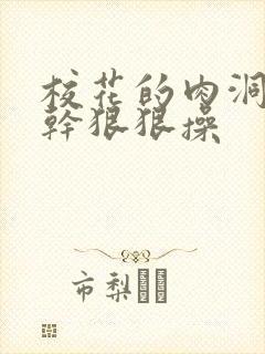 校花的肉洞狠狠干狠狠操封面