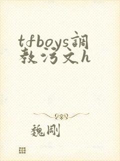 tfboys调教污文h