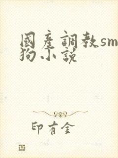 国产调教sm母狗小说封面