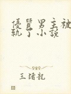 优质男主被迫出轨了小说封面