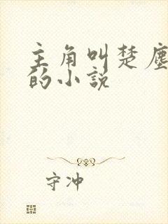 主角叫楚尘宋颜的小说封面