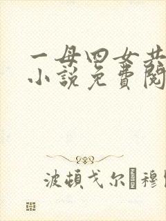 一母四女共一婿小说免费阅读我的好封面