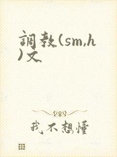 调教(sm,h)文