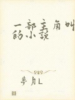 一部主角叫叶辰的小说