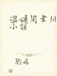 温颂周聿川商郁小说封面