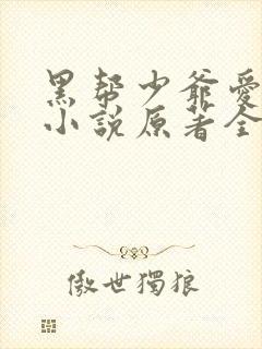 黑帮少爷爱上我小说原著全文