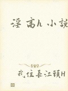 淫 高h 小说封面