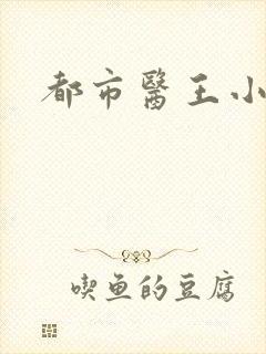 都市医王小说封面