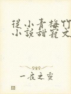 从小青梅竹马的小说甜宠文