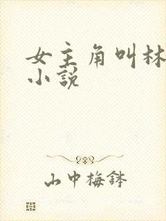 女主角叫林夏的小说封面