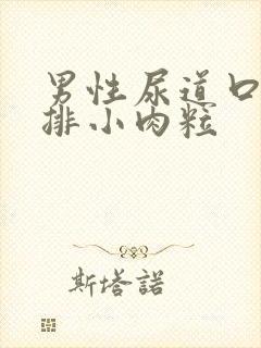 男性尿道口有一排小肉粒封面