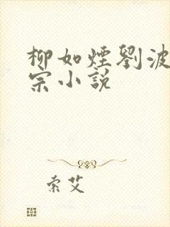 柳如烟刘波定情宗小说封面