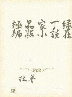 极品家丁绿帽改编版小说在哪里看