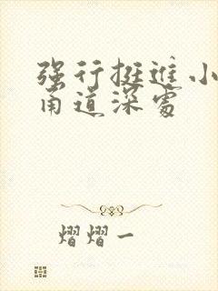 强行挺进小龙女甬道深处