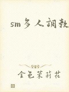 sm多人调教文封面